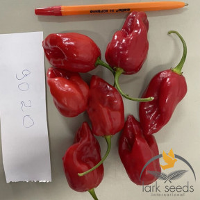 Перець 9020 F1, Lark seeds