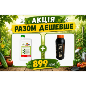 Набір Раундап Макс 1 л + Прилипач Ад'ютант 1 л Набір Раундап Макс 1 л + Прилипач Ад'ютант 1 л