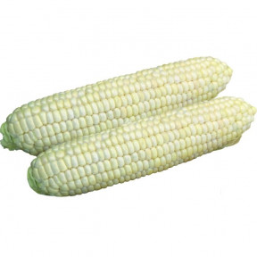 Кукурудза Айрон F1, Spark seeds