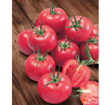 Томат Ланканг F1, Hazera