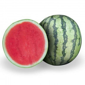 Арбуз бессеменный Оцелот F1, Hazera