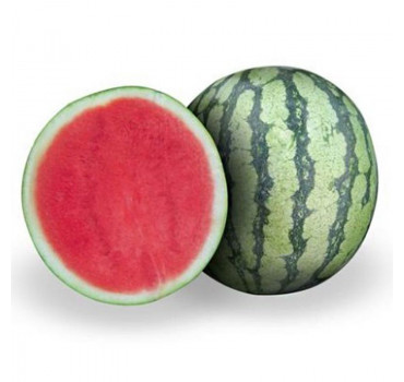 Кавун безнасіннєвий Оцелот F1, Hazera