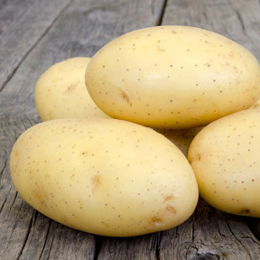 Картопля Гранада 1 репродукція, інститут картоплярства НААН