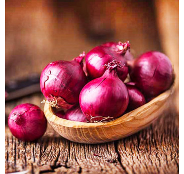 Цибуля Ред Барон , Голандія (саджанка)