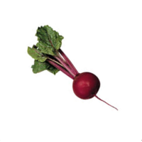  Буряк Детройт, Hazera 