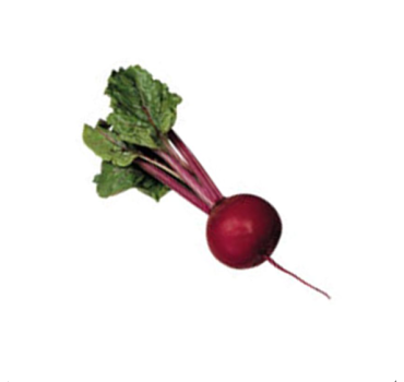  Буряк Детройт, Hazera 