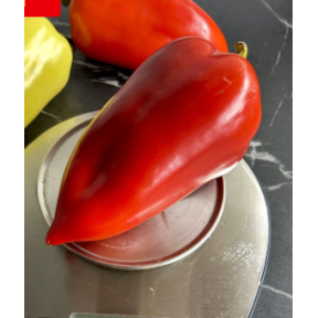 Перець конус. Фьорст F1, Sakata