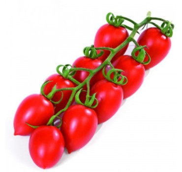 Томат САМОРІ F1, Esasem