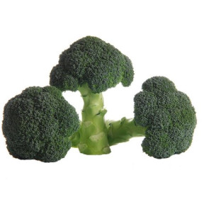 Капуста броколі Міконос F1, Sakata