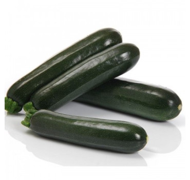 Кабачок Аскона F1 500 нас. Sakata