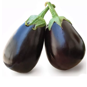 Баклажан Сара F1 (Sara F1 )Cora Seeds