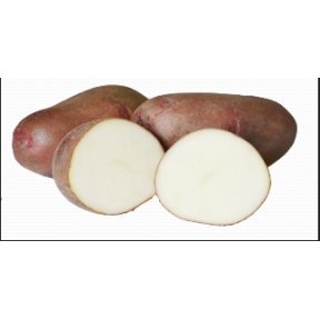 Картопля Фотинія 1 репродукція, інститут картоплярства НААН