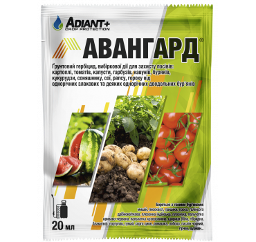 Авангард - гербіцид, ADIANT+
