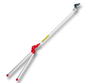 Сучкоріз на штанзі, ARS