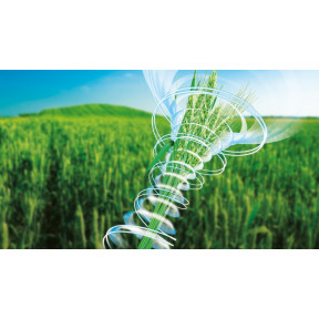 Рекс® Плюс - фунгіцид, BASF Рекс® Плюс - фунгіцид, BASF