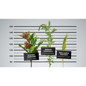 Стеллар® Плюс - гербицид, BASF