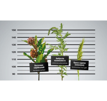 Стеллар® Плюс - гербіцид, BASF