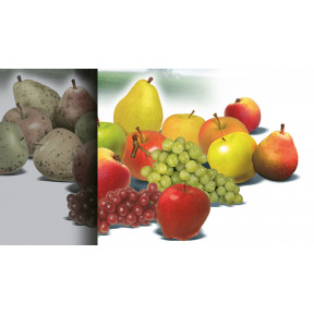 Стробі® - фунгіцид, BASF Стробі® - фунгіцид, BASF