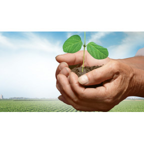 ХайКот Супер Соя + Экстендер – инокулянт, BASF