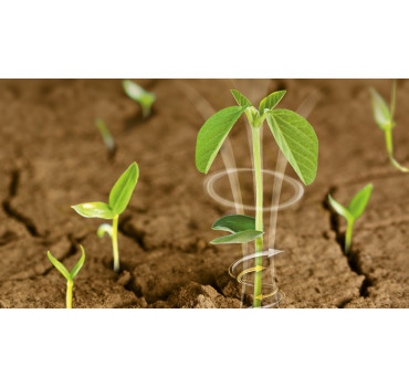 ХіСтік Соя - інокулянт, BASF