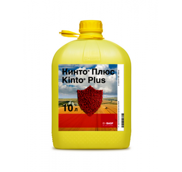 Кінто® Плюс - протруйник, BASF