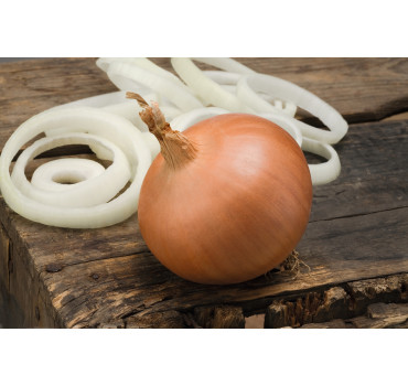 Цибуля Бірді F1, Bejo