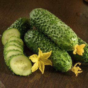 Огурец Абсолют F1, Bejo