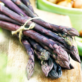 Спаржа Эрасмус F1, Bejo