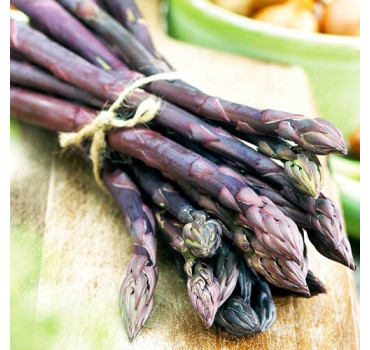 Спаржа Ерасмус F1, Bejo