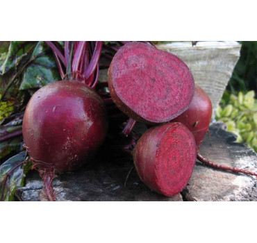 Буряк Маноло F1, Bejo