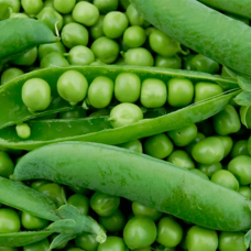 Система захисту гороху від компанії Himagro M