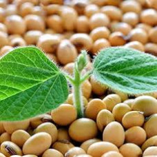 Система захисту сої від компанії Himagro M