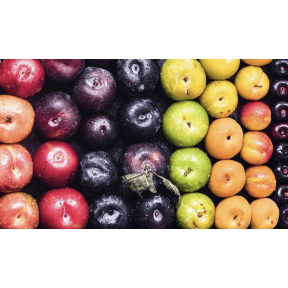 Програма живлення для кісточкових культур від італійської компанії Valagro