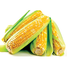 Система защиты кукурузы от компании Himagro M