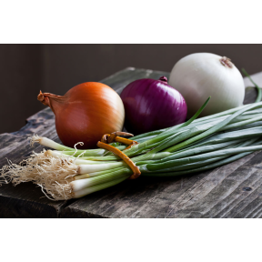 Система захисту цибулі від компанії Himagro M