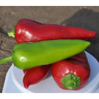 Перець Капелло F1| Capello F1, Clause