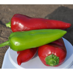 Перець Капелло F1| Capello F1, Clause