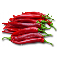 Перець солодка паприка Фоно F1 1000 насінин, Innova Seeds