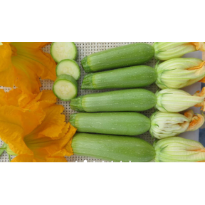 Кабачок Ренді INX 5286 F1, INNOVA SEEDS