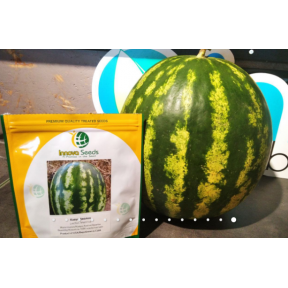 Кавун АВАЛОН F1, INNOVA SEEDS