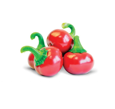 Гіркий перець Глобал F1, Innova Seeds