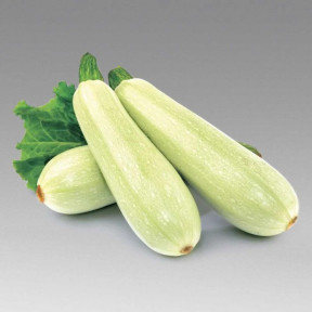 Кабачок МЕРЛІН (INX 10554) F1, INNOVA SEEDS