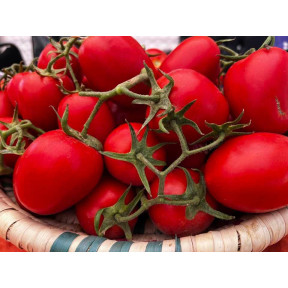 Томат Ханна F1 100 насінин, Innova Seeds