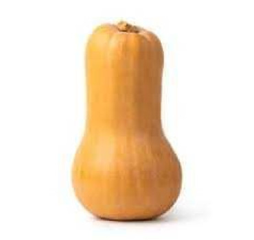 Гарбуз Оранж INNOVA SEEDS