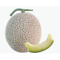 Диня К-3 F1, Asia Seed