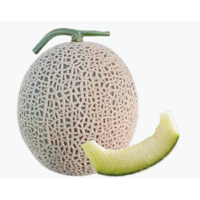 Диня К-3 F1, Asia Seed