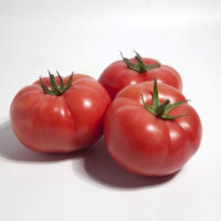 Томат KS 1157 F1, Kitano Seeds