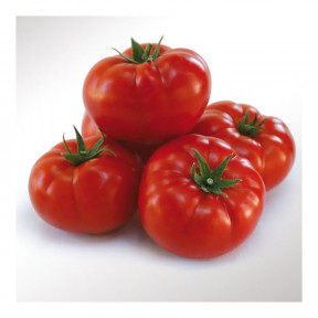 Томат KS 206 F1, Kitano Seeds