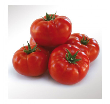 Томат KS 206 F1, Kitano Seeds