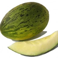 Диня  KS 775 F1, Kitano Seeds